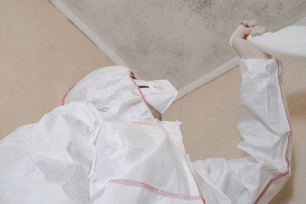 Best Toxic Mold Removal  in Mabank, TX