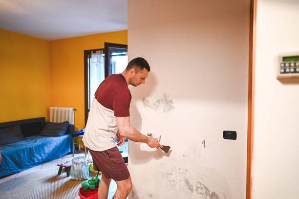 Attic Mold Removal in Mabank, TX