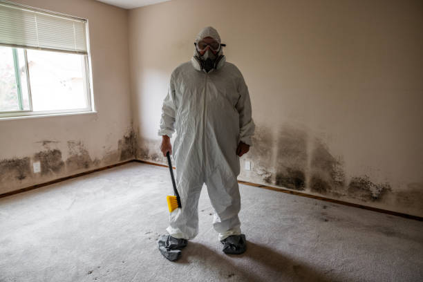 Best Fast Mold Removal  in Mabank, TX